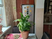 Satılır 2 otaqlı köhnə tikili 47 m², Hövsan q., photo 8 from 8