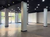 Сдаётся  объект 1 800 м², Насиминский  р., photo 4 from 8