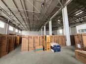 İcarəyə verilir  obyekt 1 000 m², Binəqədi q., photo 3 from 8