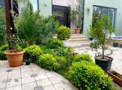 Satılır 4 otaqlı həyət evi/bağ evi 200 m², Mərdəkan q., photo 6 from 8