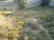 Продаётся  участок 9 сот, пос. Бадамдар, photo 3 from 5