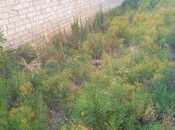 Продаётся  участок 9 сот, пос. Бадамдар, photo 4 from 5