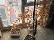 Продаётся 5-комн. новостройка 128 м², photo 6 from 8