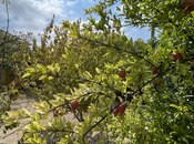 Продаётся 5-комн. дом/дача 210 м², пос. Новханы, photo 1 from 8