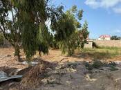 Satılır  torpaq 8.5 sot, Mərdəkan q., photo 4 from 6