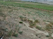 Продаётся  участок 25 сот, Абшеронcкий  р., photo 4 from 8