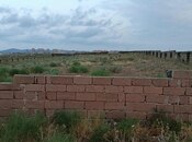 Продаётся  участок 25 сот, Абшеронcкий  р., photo 5 from 8