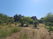 Satılır  torpaq 31 sot, Sea Breeze q., photo 7 from 8