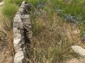 Продаётся  участок 6 сот, пос. Дюбенди, photo 8 from 8