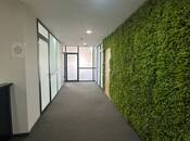 İcarəyə verilir 5 otaqlı ofis 190 m², Şah İsmayıl Xətai m., photo 2 from 8