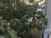 Satılır 5 otaqlı həyət evi/bağ evi 150 m², Binə q., photo 6 from 8