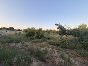 Satılır  torpaq 50 sot, Sabunçu r., photo 2 from 8