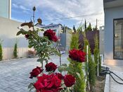İcarəyə verilir 5 otaqlı həyət evi/bağ evi 300 m², Şüvəlan q., photo 8 from 8