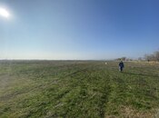 Satılır  obyekt 5 000 m², photo 5 from 8