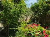 Satılır 4 otaqlı həyət evi/bağ evi 110 m², Zığ q., photo 8 from 8