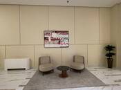 Продаётся 5-комн. новостройка 210 м², м. Элмляр Академиясы, photo 3 from 8