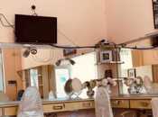 İcarəyə verilir  obyekt 35 m², photo 2 from 8