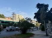Продаётся  объект 426 м², м. Халглар Достлугу, photo 1 from 8