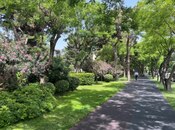 Продаётся 2-комн. вторичка 65 м², м. Гянджлик, photo 6 from 8
