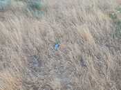 Satılır  torpaq 5 sot, Badamdar q., photo 6 from 8