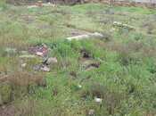 Satılır  torpaq 7 sot, Badamdar q., photo 3 from 8