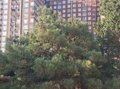 Продаётся 2-комн. новостройка 55 м², м. Мемар Аджеми, photo 5 from 8