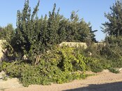 Продаётся  участок 7.5 сот, пос. Бильгях, photo 3 from 4