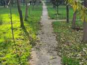 Продаётся  участок 10.5 сот, пос. Бадамдар, photo 2 from 5