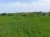 Satılır  torpaq 80 sot, photo 3 from 4