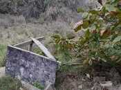 Satılır  torpaq 9 sot, Badamdar q., photo 5 from 5