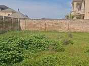 Продаётся  участок 8 сот, пос. Бина, photo 1 from 4