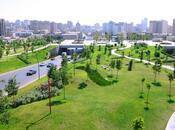 Продаётся 3-комн. вторичка 80 м², м. Низами, photo 3 from 8