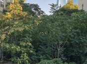 Продаётся 3-комн. вторичка 70 м², м. Ичеришехер, photo 1 from 8