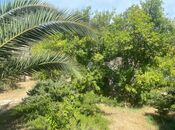 Продаётся  участок 60 сот, пос. Мардакан, photo 7 from 7