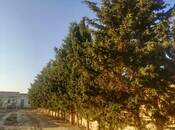 Satılır 8 otaqlı həyət evi/bağ evi 450 m², Abşeron r., photo 8 from 8