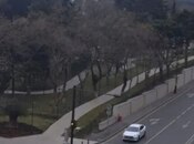 Satılır 3 otaqlı yeni tikili 134 m², Nərimanov r., photo 2 from 4