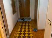Satılır 3 otaqlı köhnə tikili 115 m², Nəriman Nərimanov m., photo 7 from 8