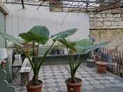 Satılır 7 otaqlı həyət evi/bağ evi 140 m², Bülbülə q., photo 3 from 8