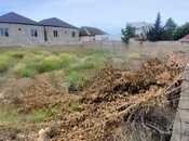 Satılır  torpaq 6 sot, Albalılıq q., photo 2 from 4