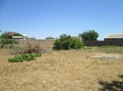 Продаётся  участок 128 сот, пос. Шувеляны, photo 4 from 5