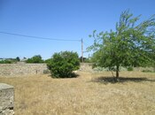 Продаётся  участок 128 сот, пос. Шувеляны, photo 3 from 5