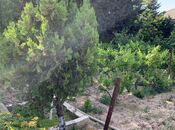 Satılır  torpaq 12 sot, Görədil q., photo 6 from 8