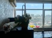 Satılır 3 otaqlı yeni tikili 78 m², Səbail r., photo 5 from 8