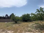 Satılır  torpaq 24 sot, Nardaran q., photo 5 from 5