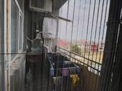 Продаётся 2-комн. новостройка 63 м², photo 8 from 8