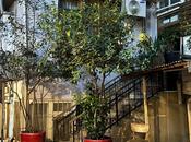 İcarəyə verilir 3 otaqlı köhnə tikili 90 m², Sahil m., photo 2 from 8