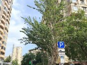 İcarəyə verilir 1 otaqlı köhnə tikili 45 m², Memar Əcəmi m., photo 7 from 8