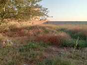 Продаётся  участок 12 сот, Сабунчинский  р., photo 3 from 8