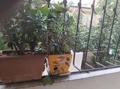 Продаётся 3-комн. новостройка 90 м², м. Шах Исмаил Хатаи, photo 4 from 8