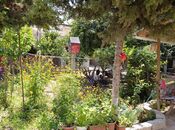 Satılır  torpaq 3 sot, Masazır q., photo 8 from 8